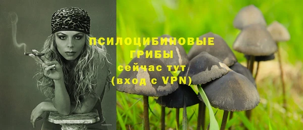 стаф Майский