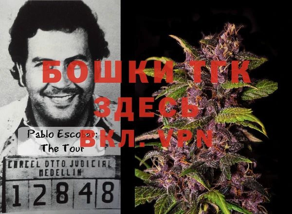стаф Майский