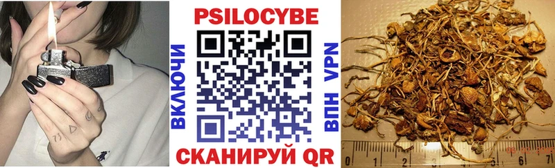 Галлюциногенные грибы MAGIC MUSHROOMS  сколько стоит  Новая Усмань 